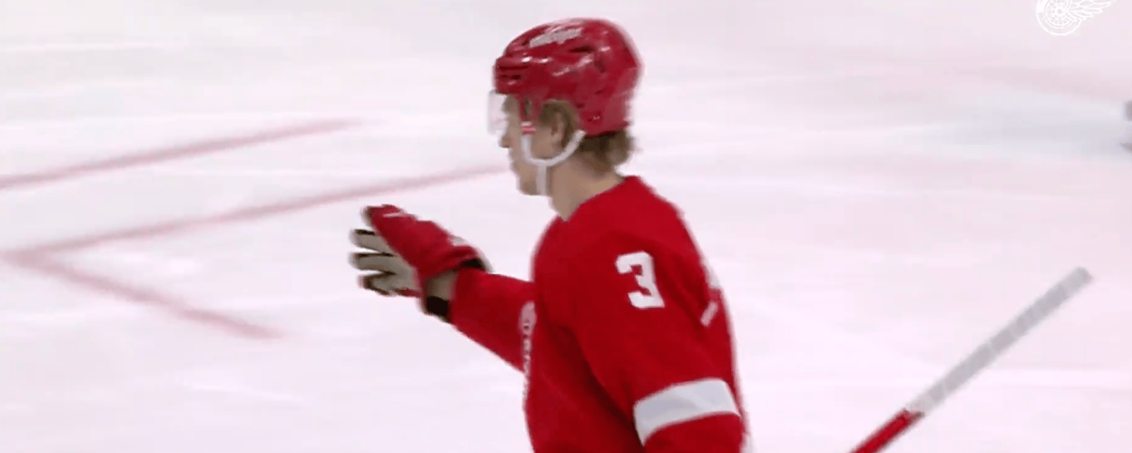 Red Wings' Simon Edvinsson credited with 1st NHL goal! 