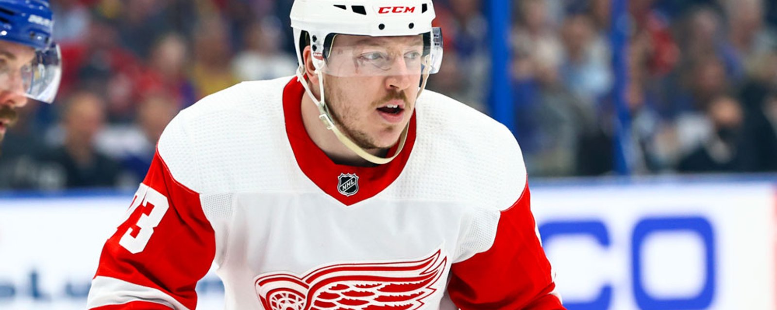 Former Red Wings forward Adam Erne signs a PTO contract with new team