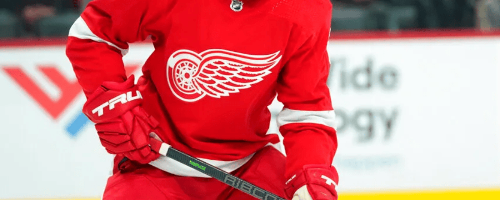Red Wings player is being accused of assault 