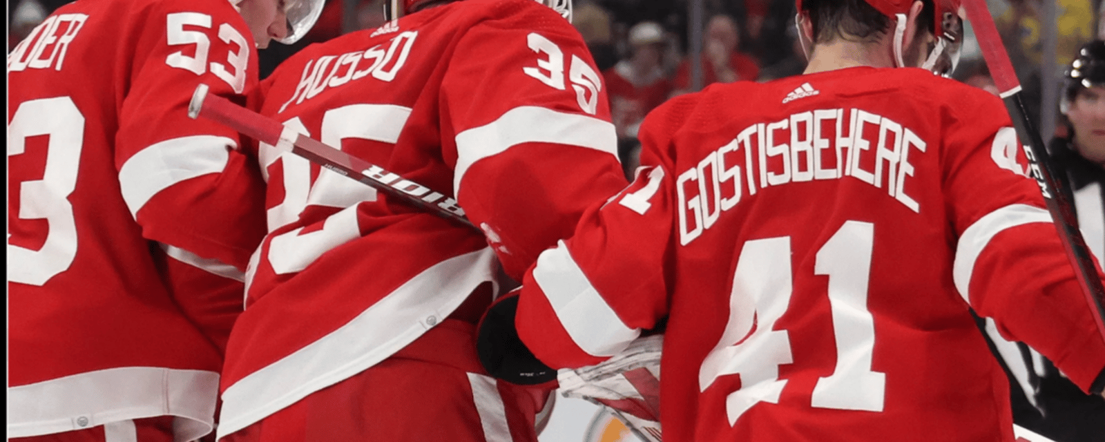 Red Wings release bad injury news 