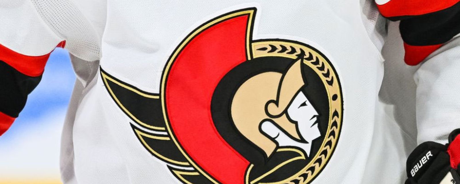 Sens hire long-time TSN and Sportsnet employee for management job