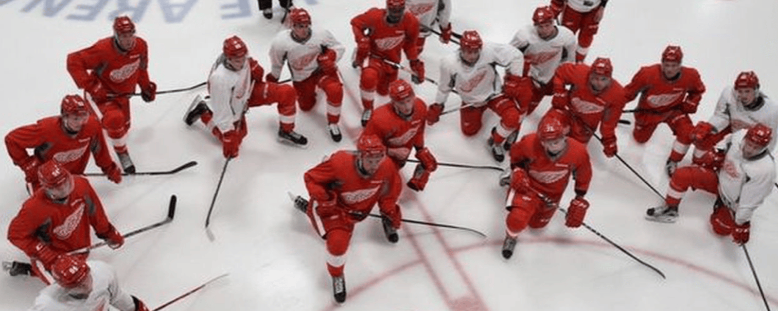 Top Red Wings prospect already dealing with an injury 