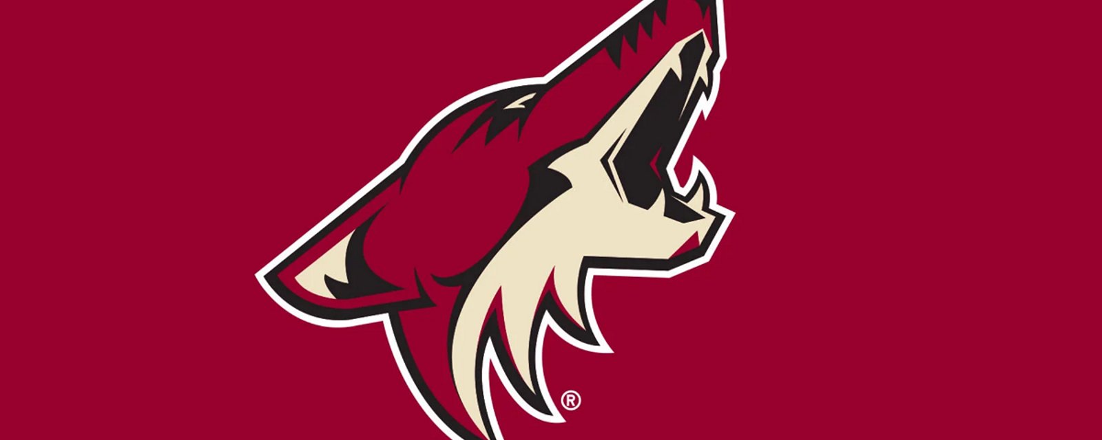 NHLPA openly questioning the future of the Arizona Coyotes.