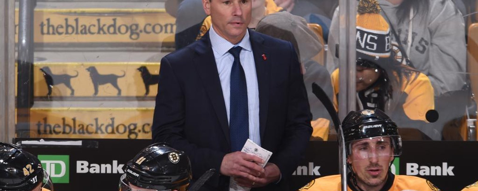 Bruce Cassidy names his choice for next Bruins captain 