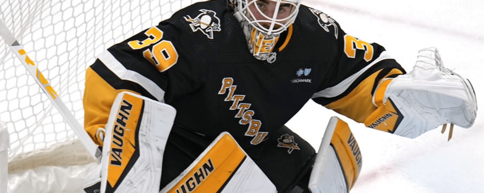 Penguins decide fate of goaltender Alex Nedeljkovic 