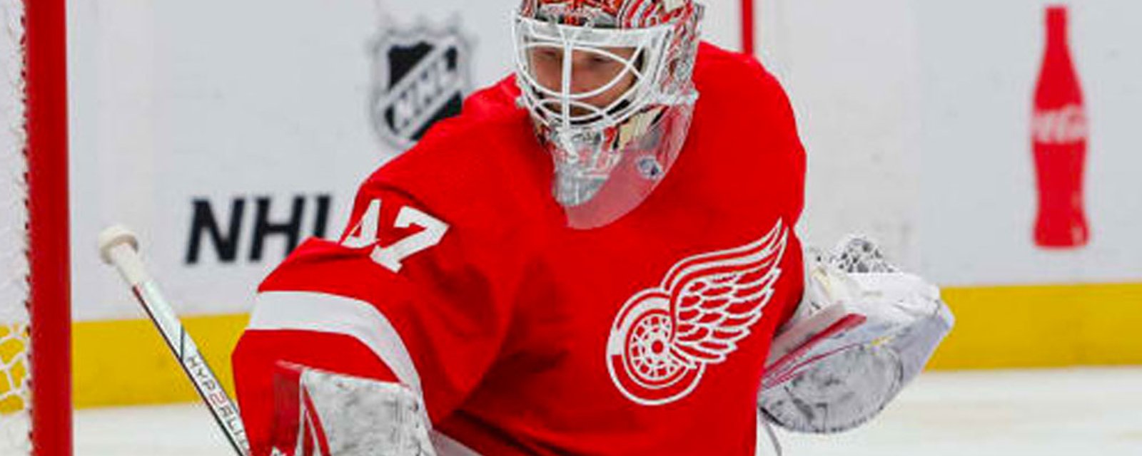 Red Wings finally make a move in goal, sign veteran free agent