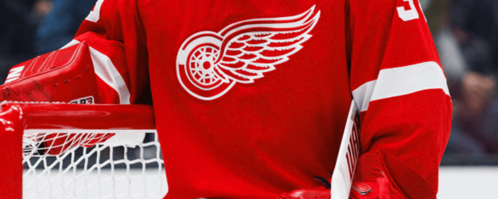 Red Wings waive veteran goaltender after latest loss 