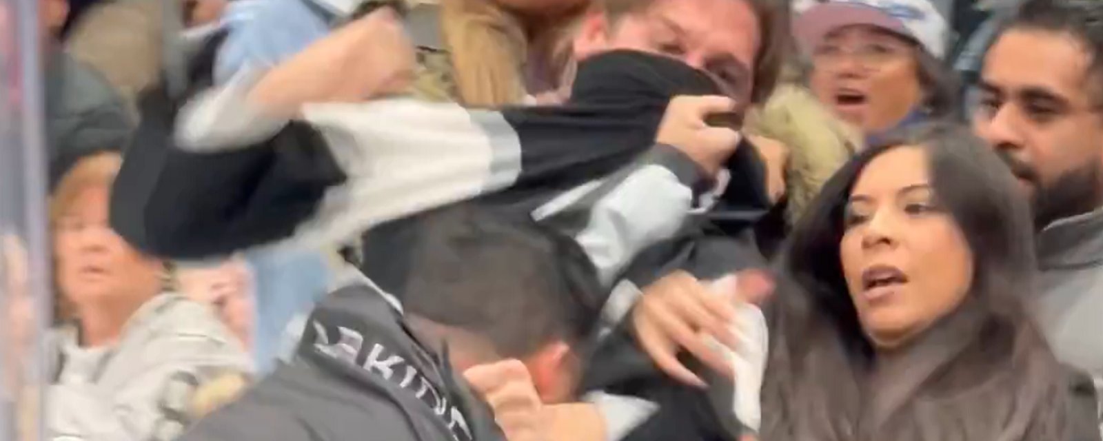 Fight erupts in the crowd during NHL game on Saturday.