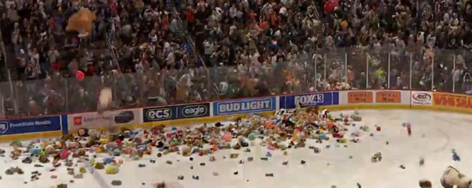Hockey fans flood the ice in record-setting Teddy Bear Toss.