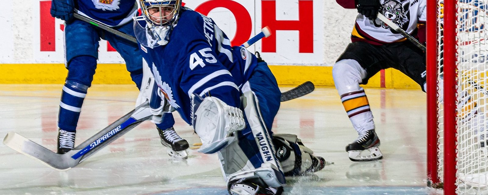 Maple Leafs forced to sign new goalie due to injuries.