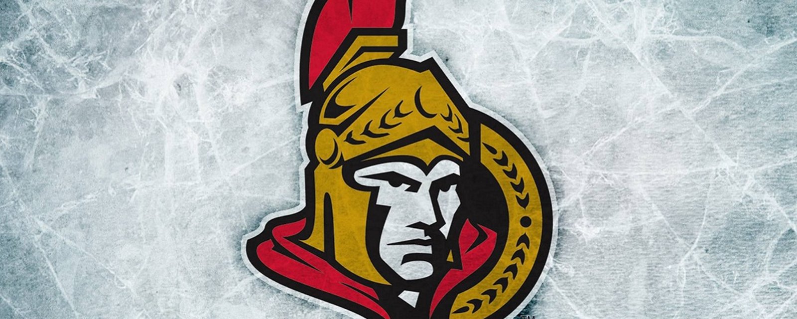 New player emerges in Ottawa Senators sale.