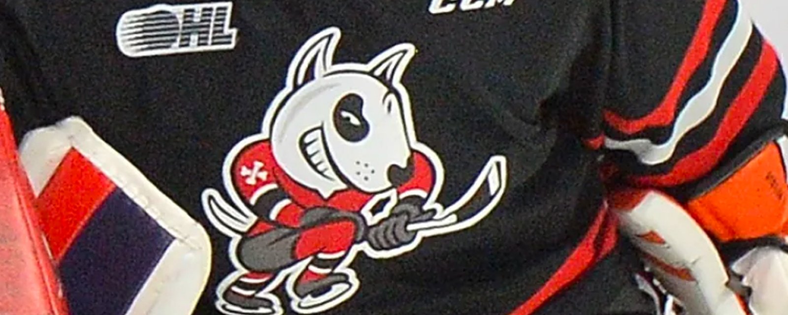 More allegations of homophobic conduct from owners of OHL's Niagara IceDogs