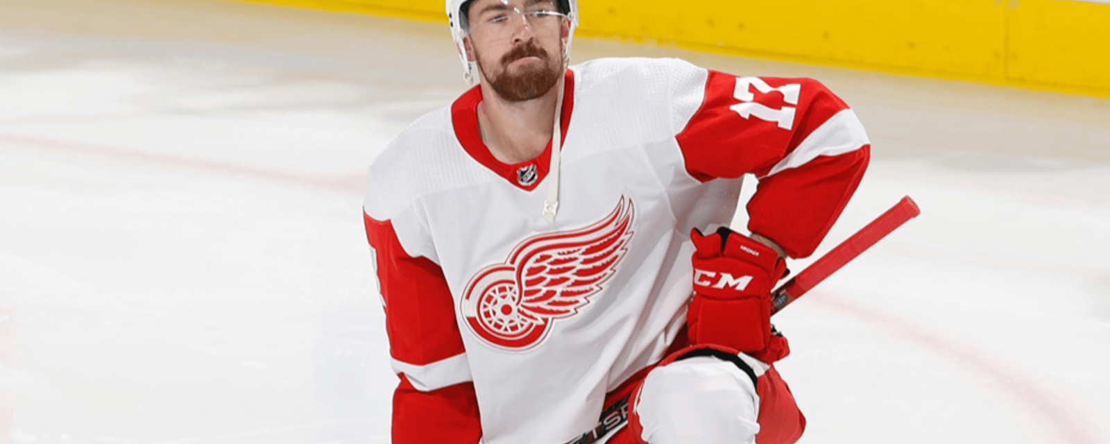 Injury bug once again bites the Red Wings