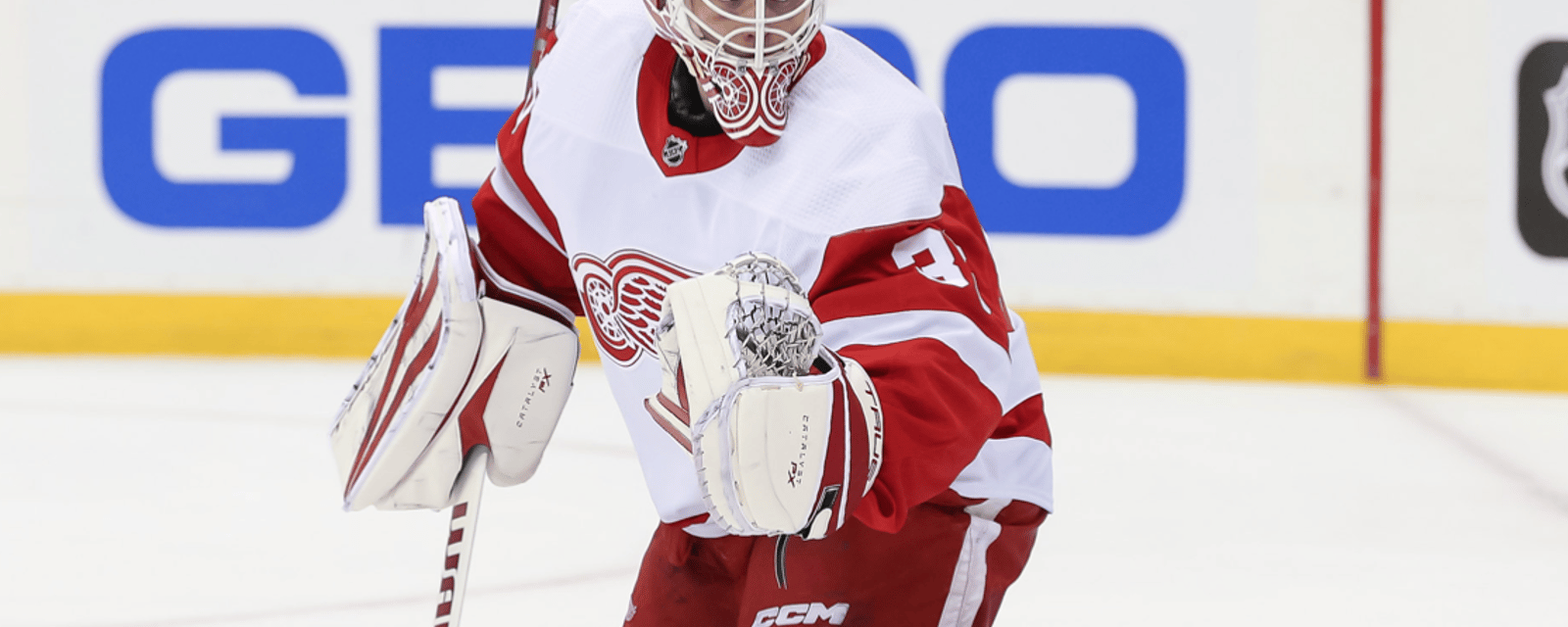Red Wings announce announce latest injury 