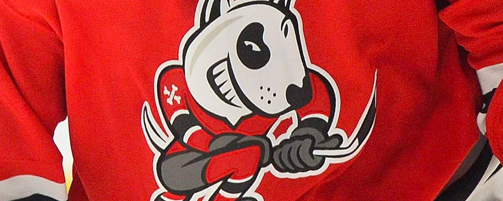 OHL's IceDogs owners disgraced after alleged misconduct, reports that former NHLer will buy the team 