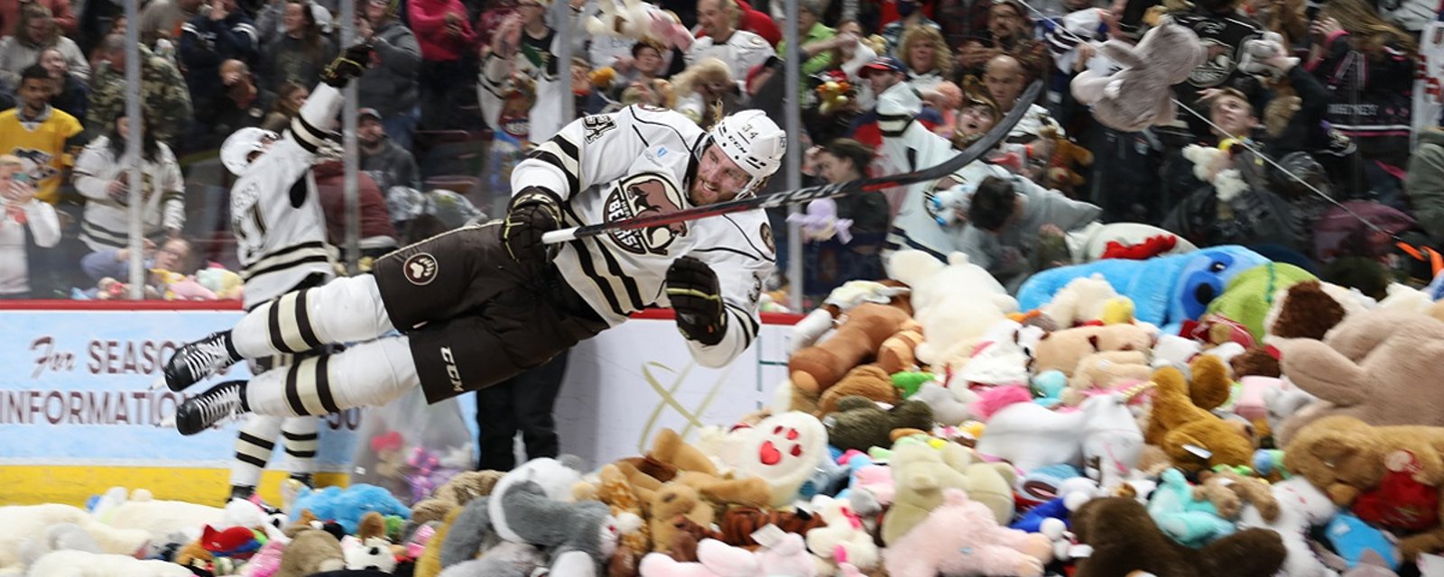 Hershey Bears host insane Teddy Bear Toss on Saturday.