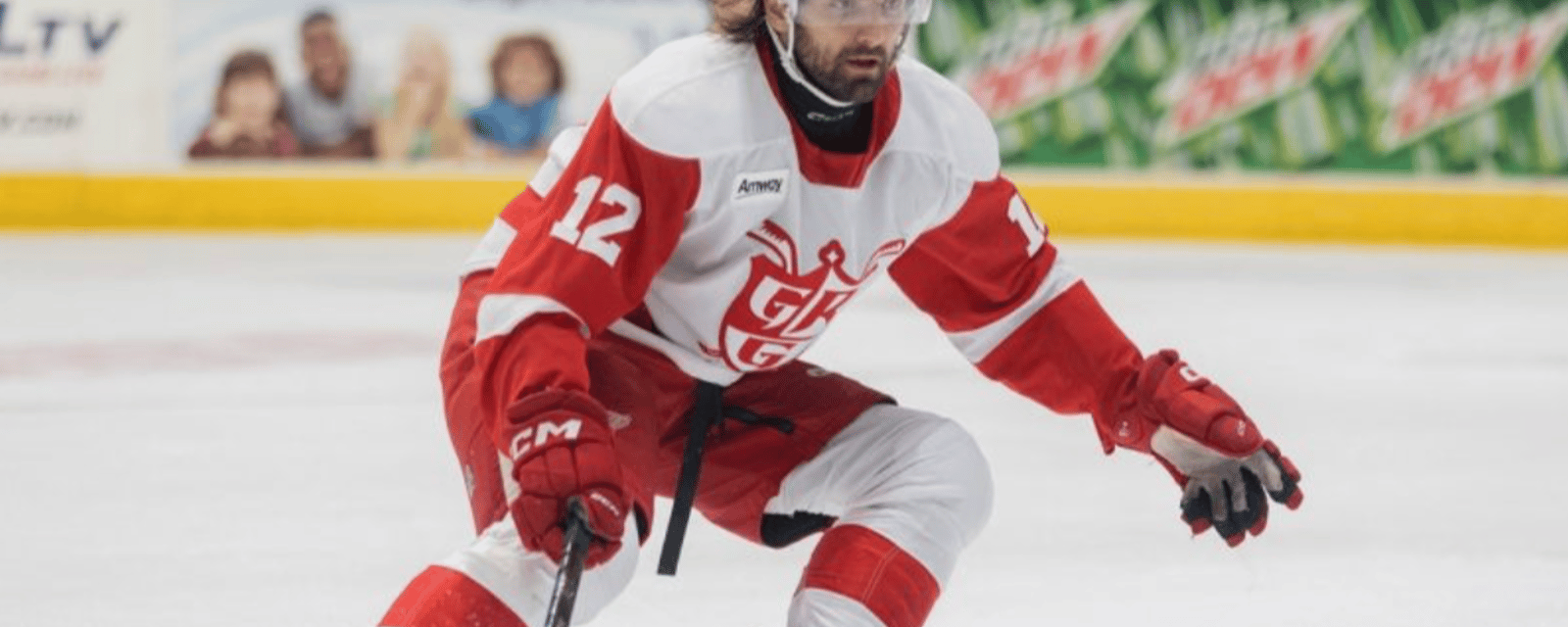 Andrew Copp injury forces Red Wings to make emergency call-up 