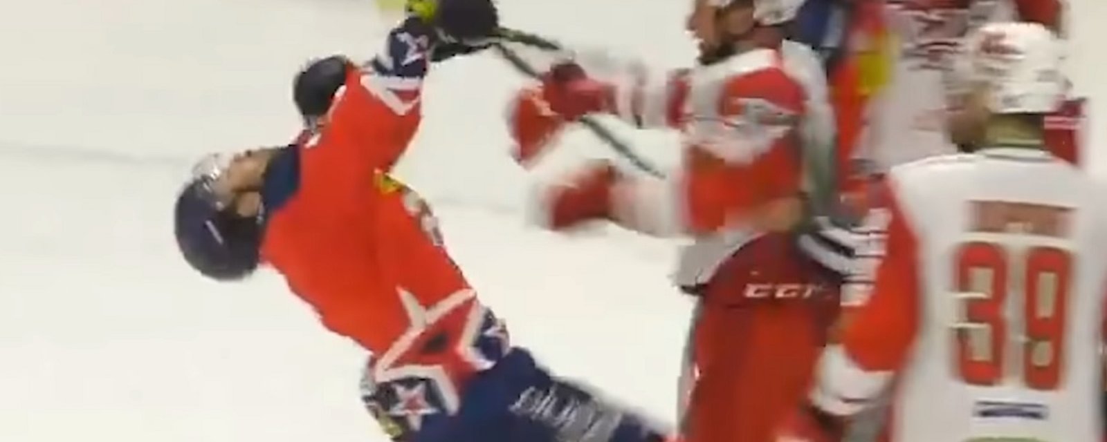 Fan throws beer bottle on the ice and attempts to fight a player.