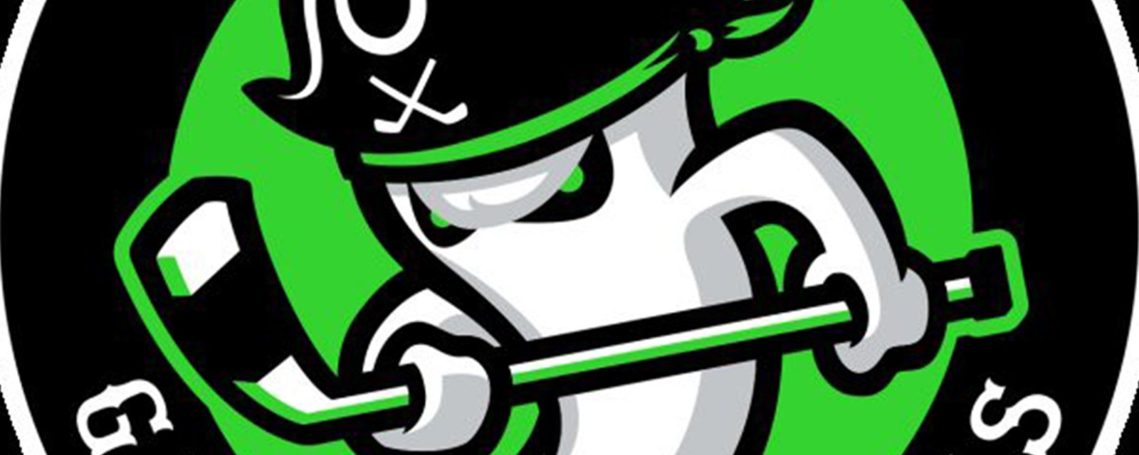 Vegas has a new ECHL affiliate and its name and logo is incredible