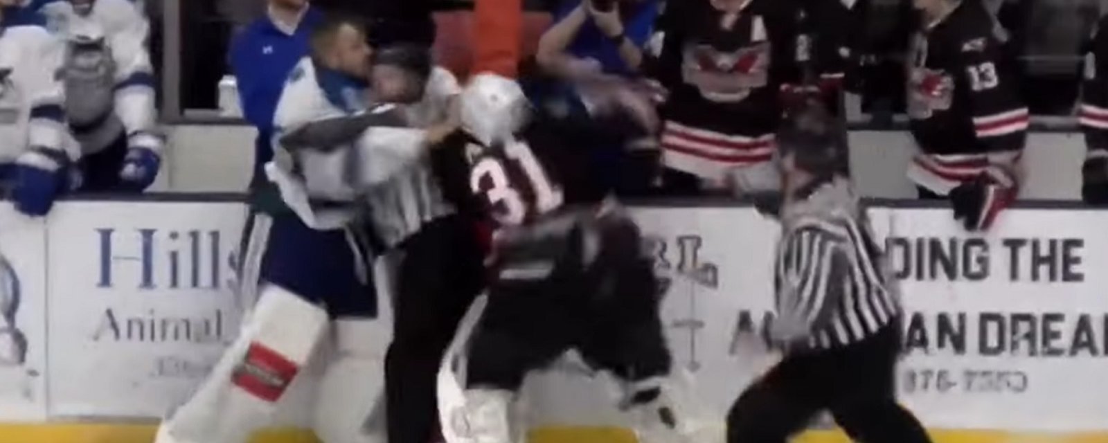 Players, goalies and coaches all get involved in wild brawl.