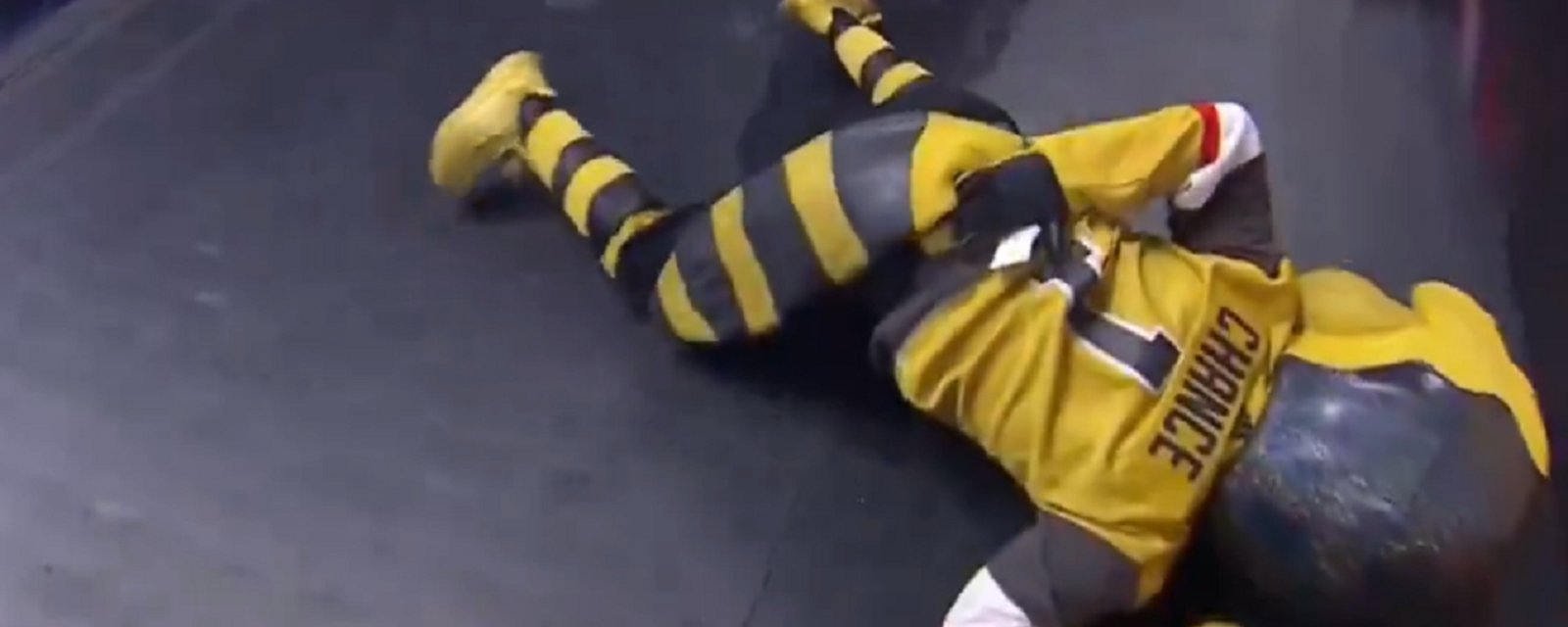 Golden Knights mascot “Chance” attacked on Saturday night.