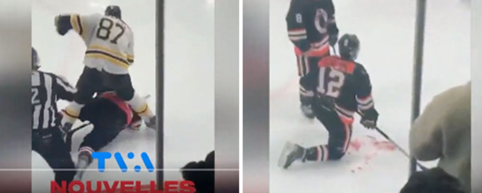 51 year old Donald Brashear ejected from game after attacking two opponents