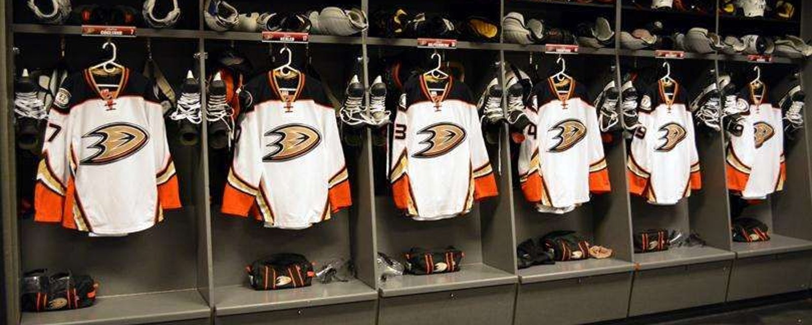 Ducks forced out of their hotel in Ottawa