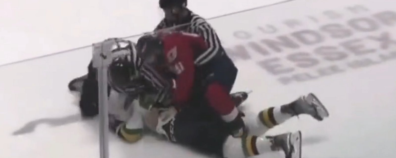 Controversial Habs draft pick Logan Mailloux gets destroyed by Pasquale Zito.