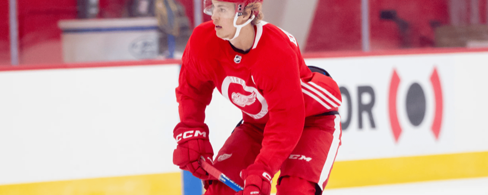 Red Wings confirm plans for Simon Edvinsson 