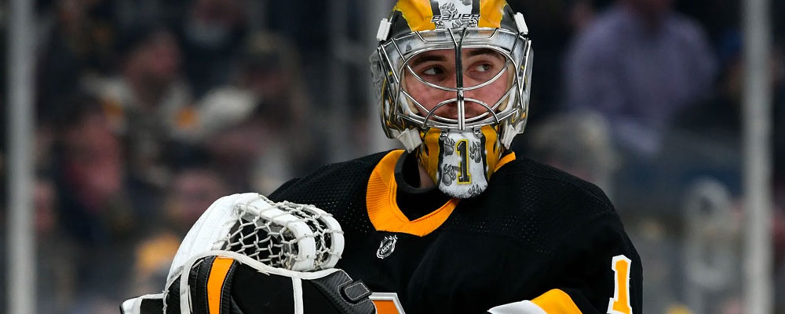 Bruins add three players, one staff member to NHL protocol list