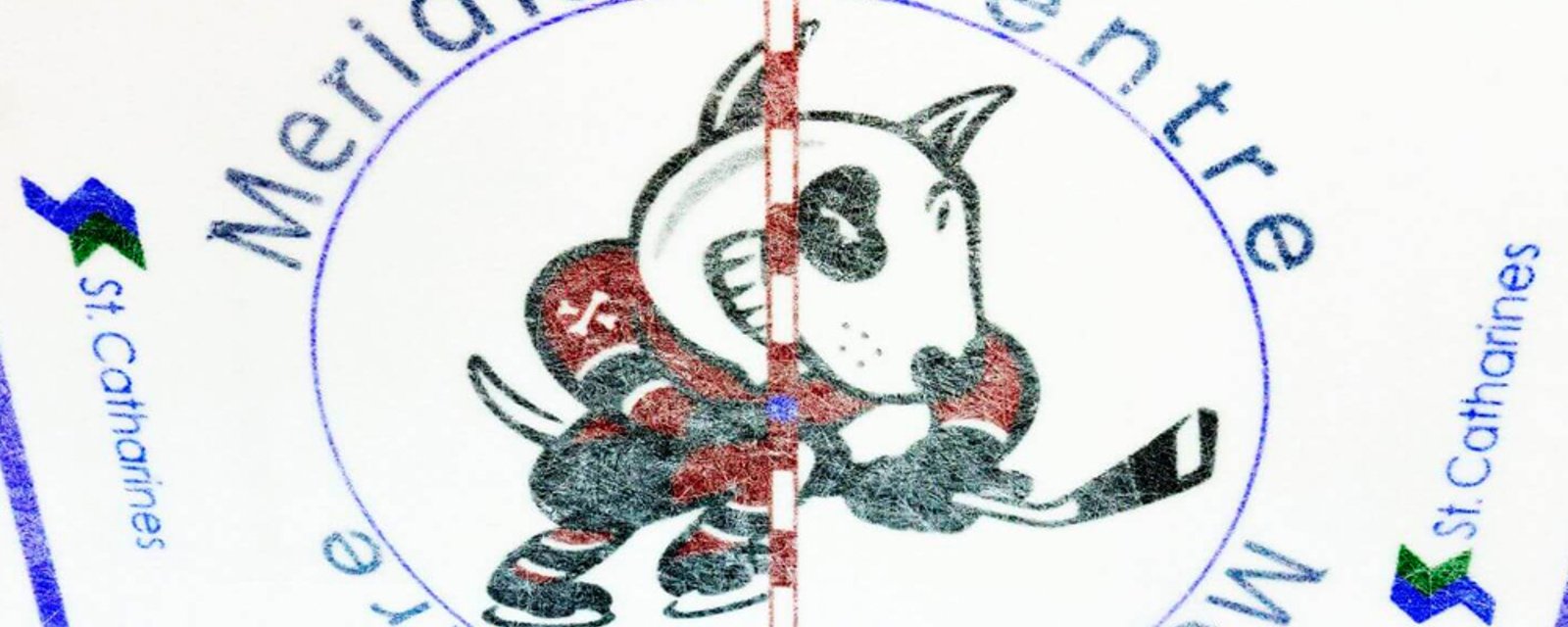 Leaked transcripts show exactly what Niagara IceDogs owners said, earning them an indefinite suspension