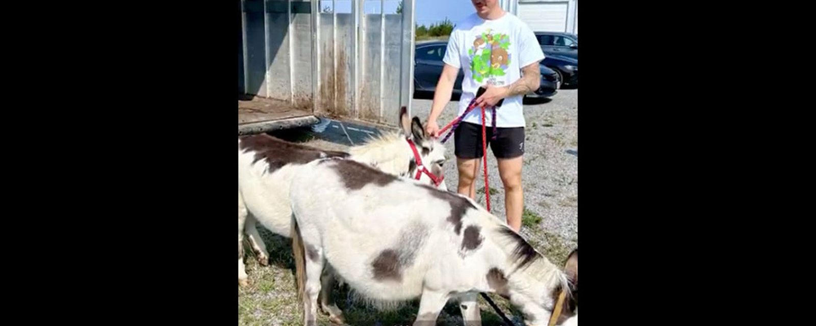 Donovan Sebrango buys his mom mini-donkeys to celebrate his NHL debut