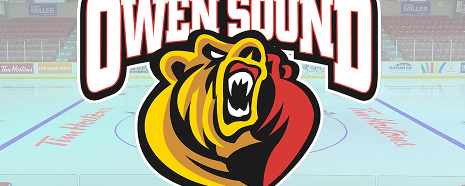 OHL's Owen Sound Attack announce ridiculous restrictions like “no standing, even to celebrate goals”