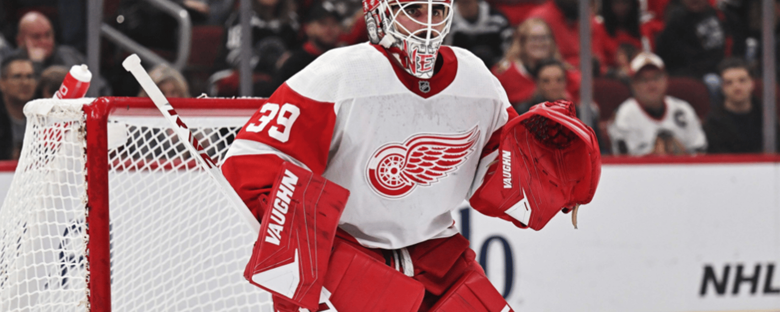 Red Wings announce another emergency callup