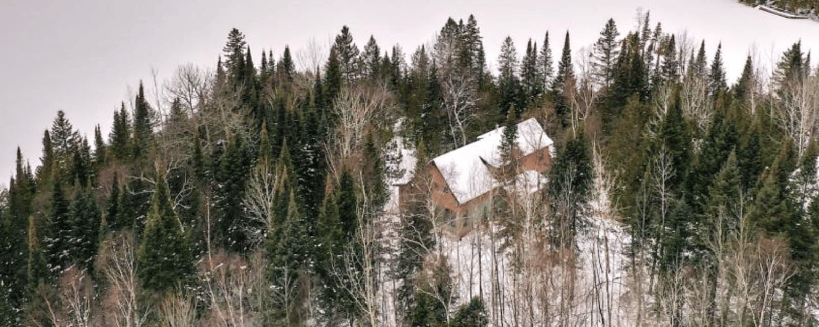 Petit paradis naturel sur le bord de l'eau dans les Hautes-Laurentides