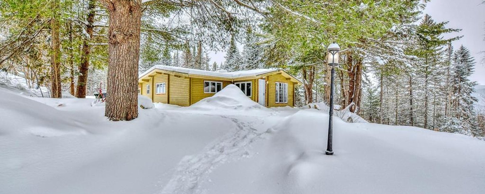 À découvrir! Maison de 2 unités meublées avec un intérieur chaleureusement rustique sise en altitude sur un grand terrain boisé