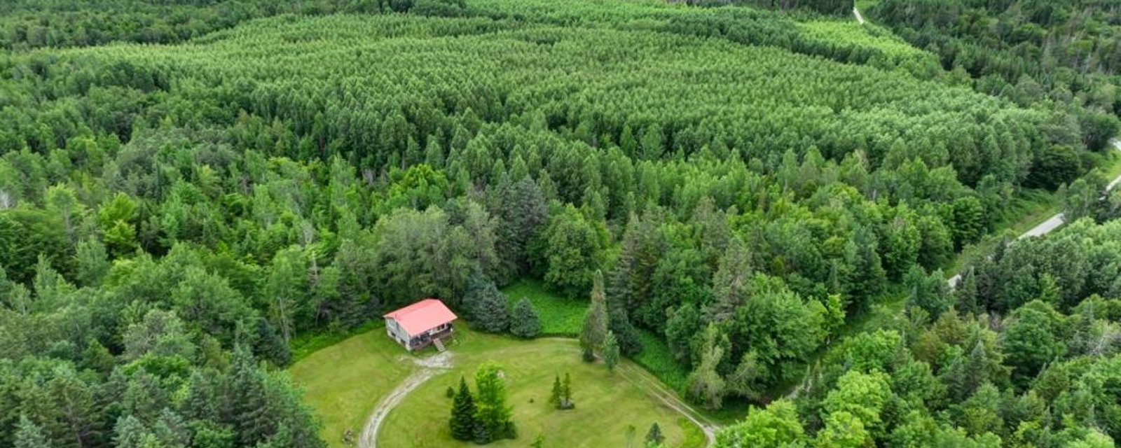 Joli chalet à 124 000 $ niché dans l'immensité de la forêt