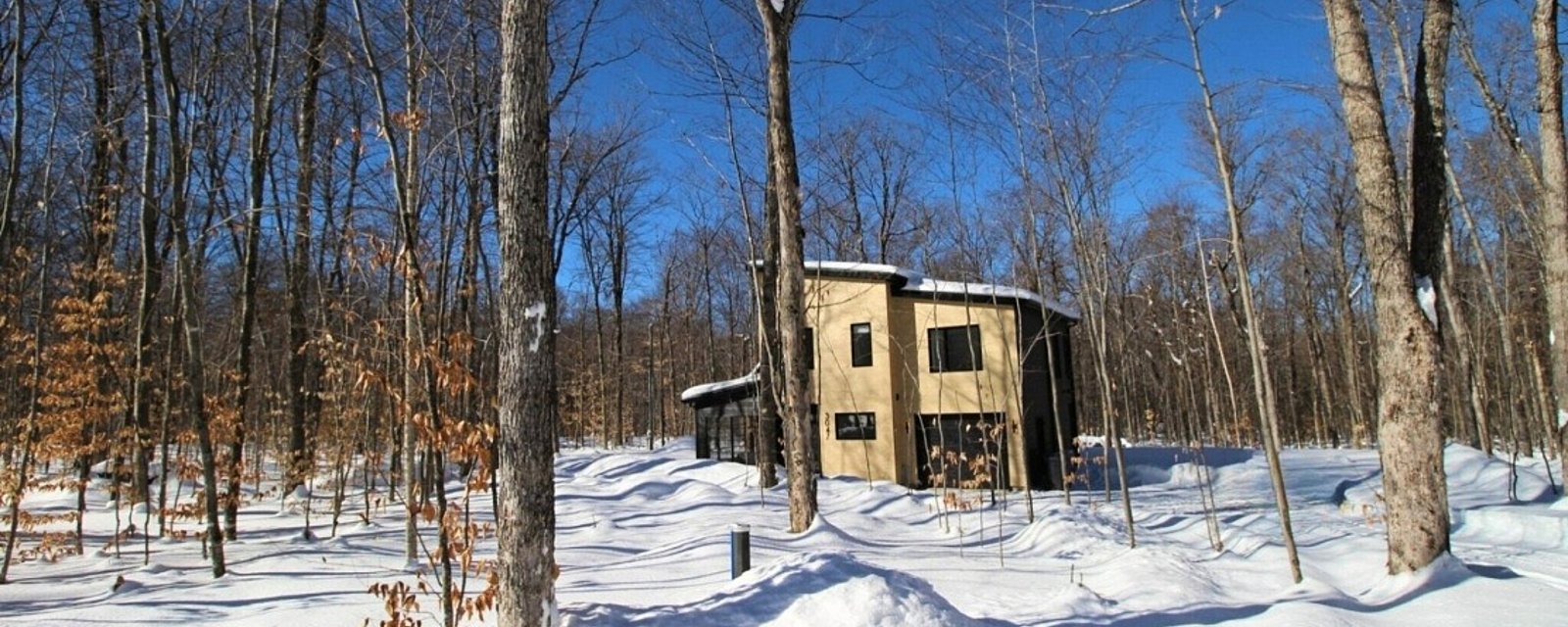 Beauté contemporaine au cœur de la nature à proximité d'un lac