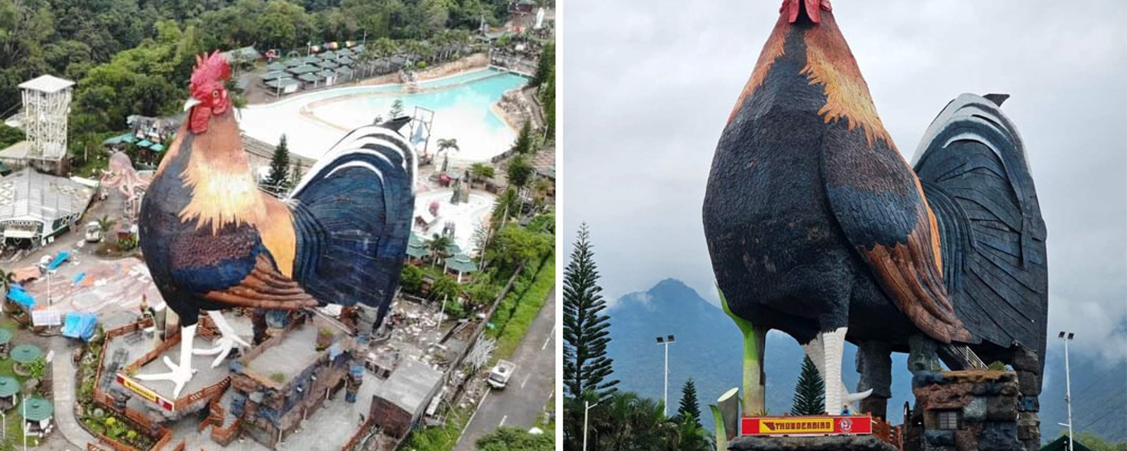 Cet hôtel original devient le plus grand bâtiment du monde en forme de coq