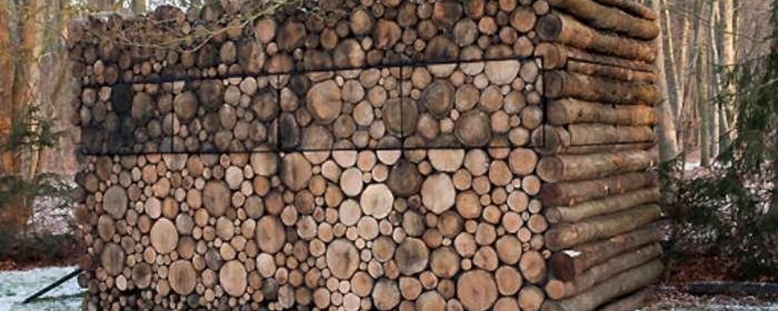 Cette pile de bois est en fait une maison