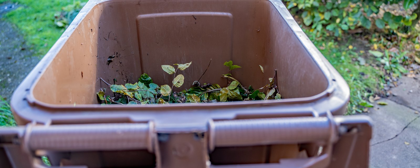 Un proprio interdit à ses locataires de faire du compost 