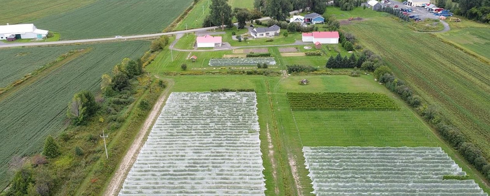 Réalisez votre rêve en devenant propriétaire d'un vignoble certifié bio à 1h de Montréal