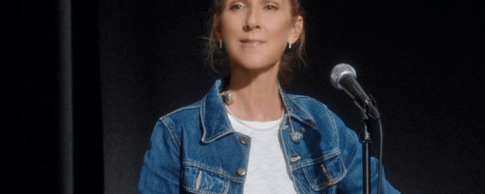 Une rare photo de Céline Dion depuis l'annonce de sa maladie circule sur internet