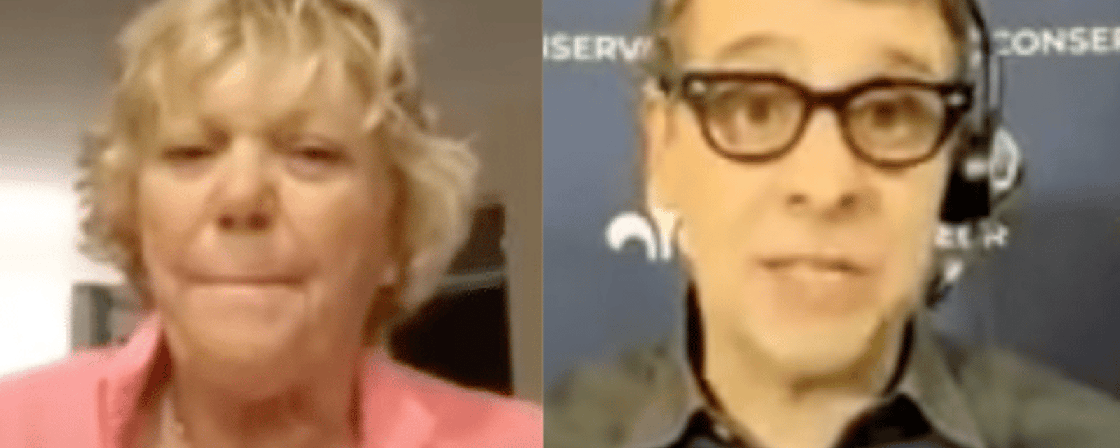 Éric Duhaime se fait complètement ramasser par Jocelyne Cazin sur Zoom