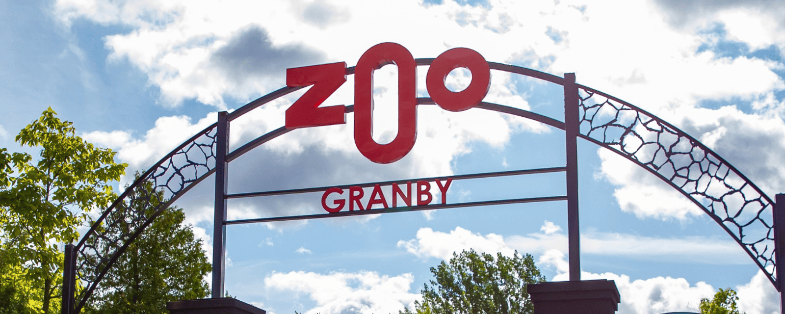 Le Zoo de Granby vous présente leurs trois nouveaux pensionnaires d’une espèce menacée