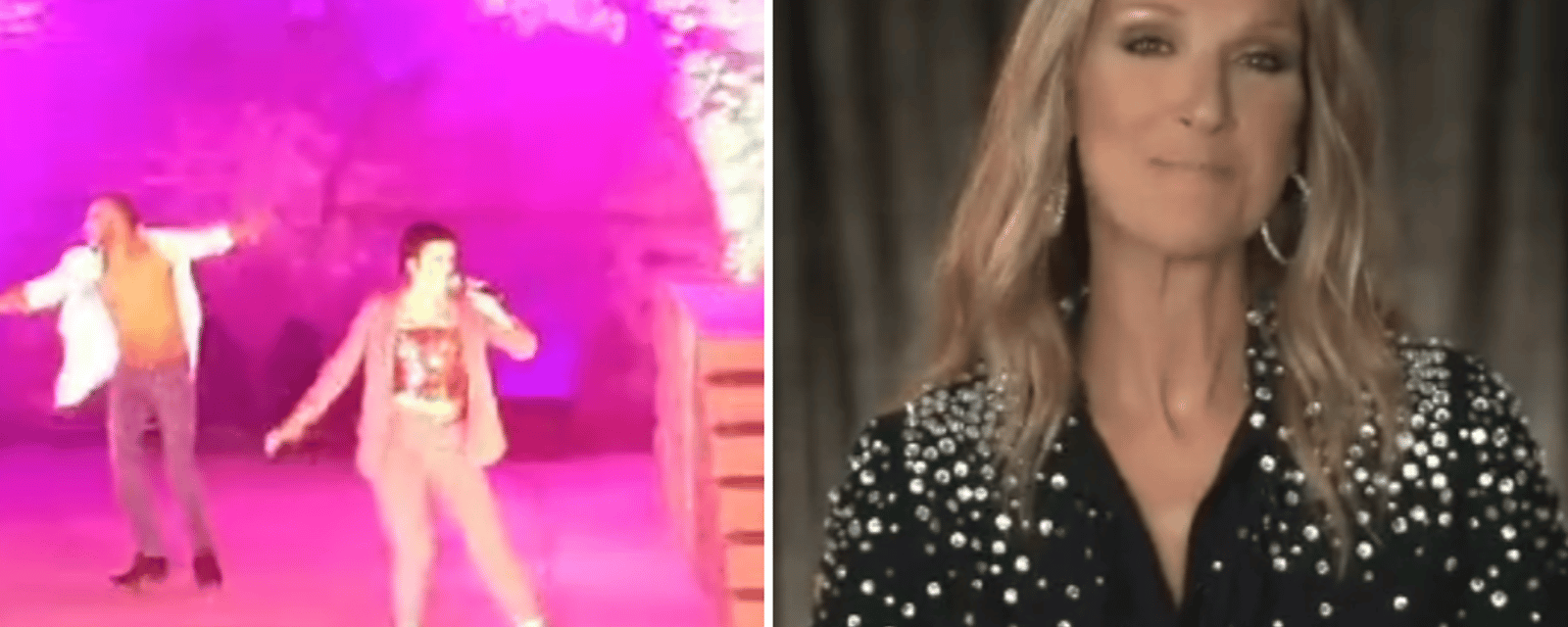 Cette vidéo d'un festival qui rend hommage à Céline Dion enflamme les médias sociaux
