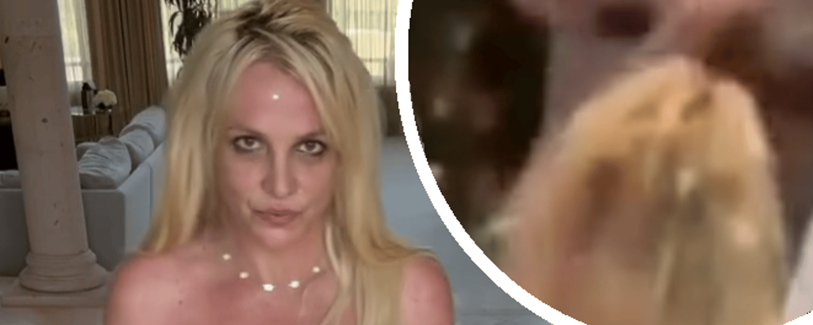 Un garde du corps dans l'eau chaude après avoir frappé Britney Spears au visage