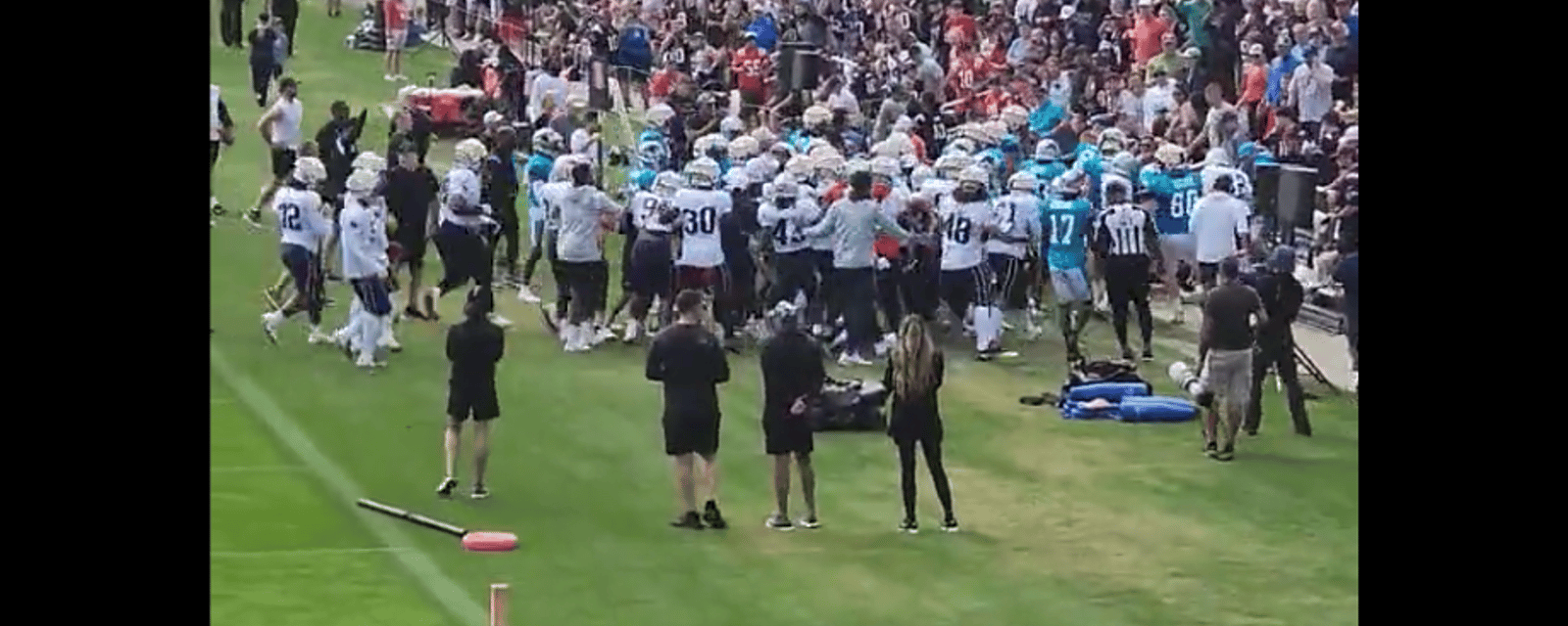 Fan injured during Panthers/Patriots brawl 