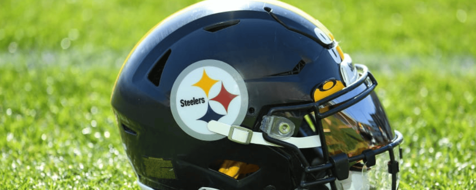 NFL punishes the Pittsburgh Steelers again 