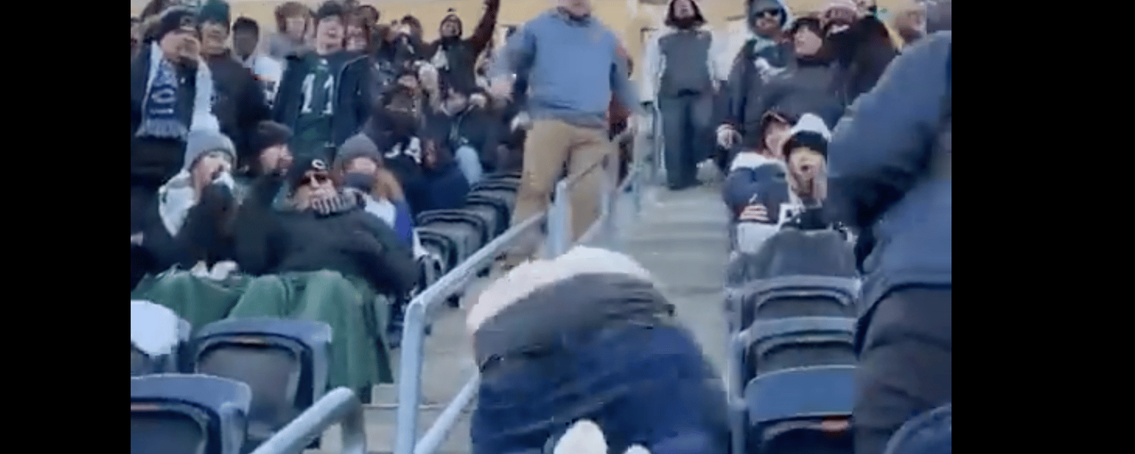 Fan flashes the world falling down the steps! 